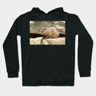 The Rock Climber Hoodie